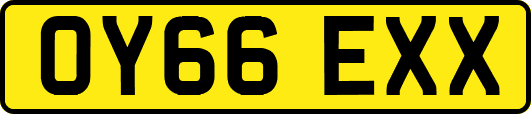 OY66EXX