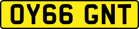 OY66GNT