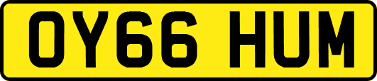 OY66HUM