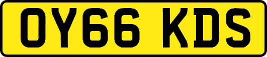 OY66KDS
