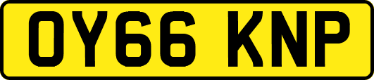 OY66KNP