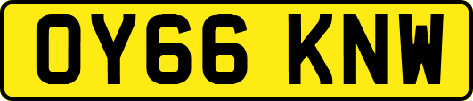 OY66KNW