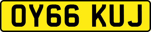 OY66KUJ