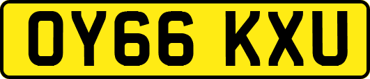 OY66KXU
