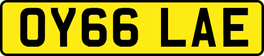 OY66LAE