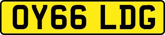 OY66LDG