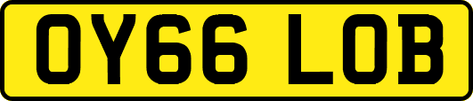 OY66LOB