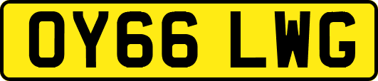 OY66LWG