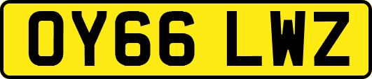 OY66LWZ