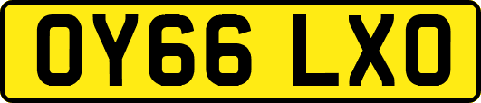 OY66LXO