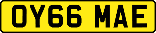 OY66MAE