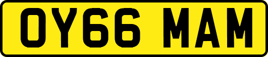 OY66MAM