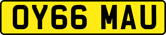 OY66MAU
