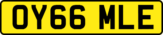 OY66MLE
