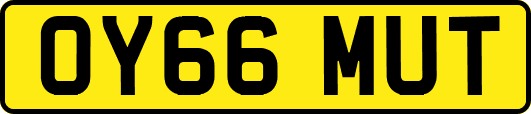 OY66MUT