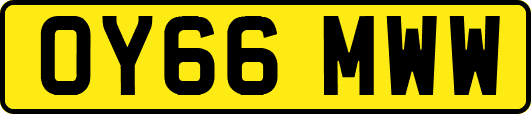 OY66MWW