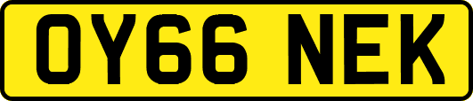 OY66NEK