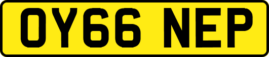 OY66NEP