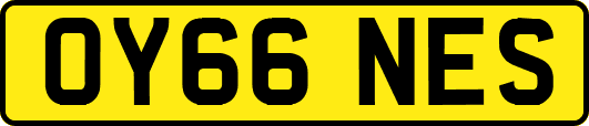 OY66NES