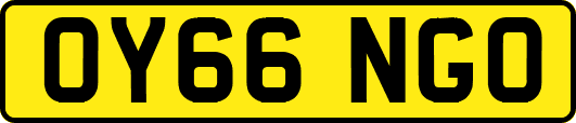 OY66NGO