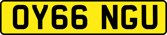 OY66NGU