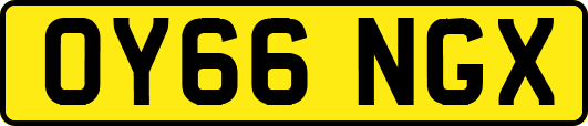 OY66NGX