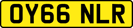 OY66NLR