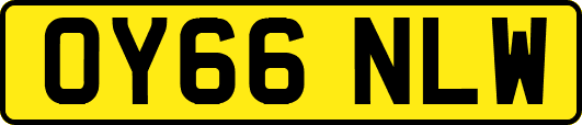 OY66NLW