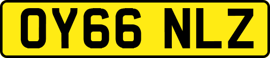 OY66NLZ