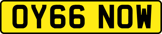 OY66NOW