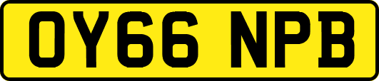 OY66NPB