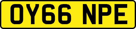 OY66NPE