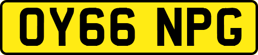 OY66NPG