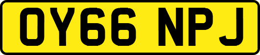 OY66NPJ