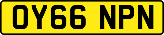 OY66NPN