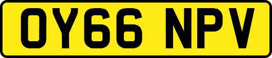 OY66NPV