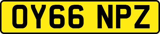 OY66NPZ