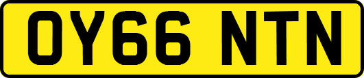 OY66NTN