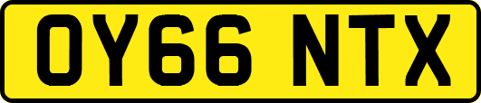 OY66NTX