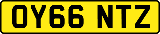 OY66NTZ
