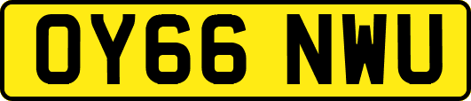 OY66NWU