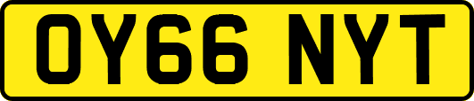OY66NYT