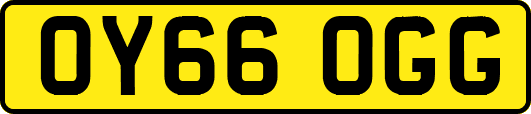 OY66OGG