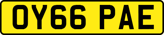 OY66PAE