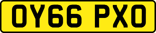 OY66PXO