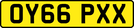 OY66PXX