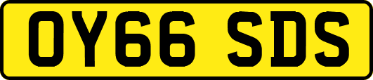 OY66SDS