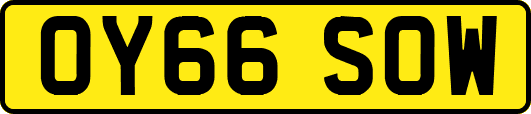 OY66SOW