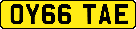 OY66TAE