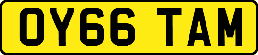 OY66TAM